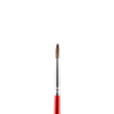 Picture of JUNIOR PAINTBRUSH ROUND